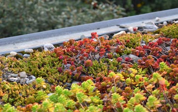 the cost of Holford green roof installation