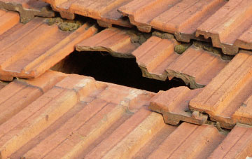 roof repair Holford, Somerset